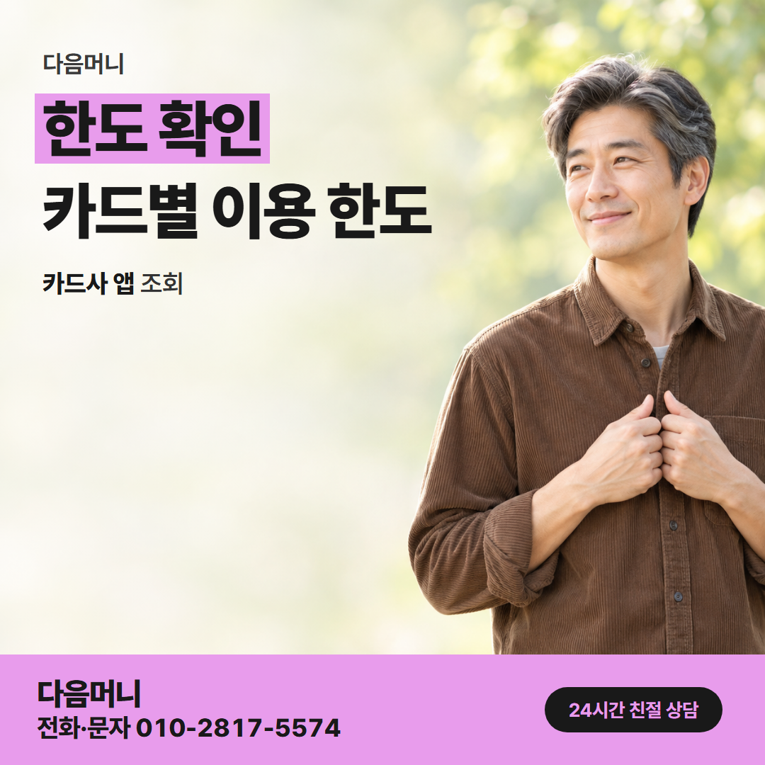 다음머니 카드깡 사이트 카드사 앱 조회 화면